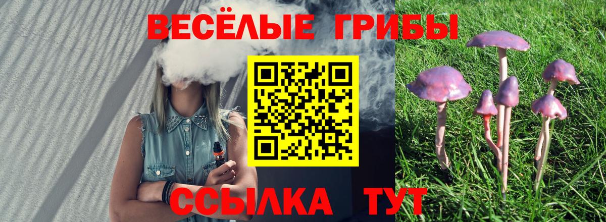 Галлюциногенные грибы мицелий Киселёвск